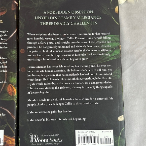 The Infatuated Fae Book Set by Jeneane O'Riley - Picture 7 of 10